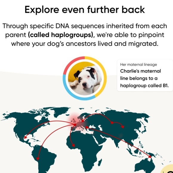 Embark Dog DNA Test Kit – Breed & Health, New in Box - Picture 2 of 6